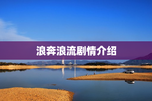 浪奔浪流剧情介绍