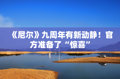 《尼尔》九周年有新动静！官方准备了“惊喜”