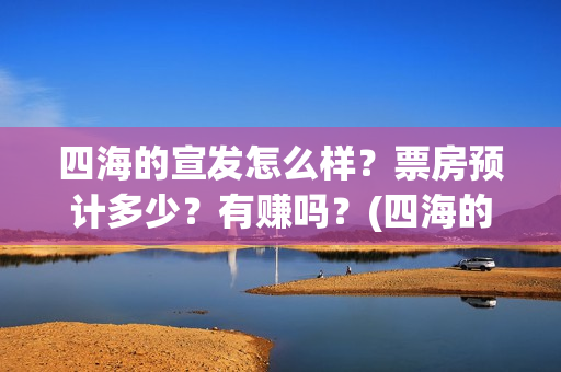 四海的宣发怎么样？票房预计多少？有赚吗？(四海的含义)