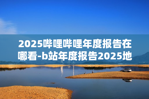 2025哔哩哔哩年度报告在哪看-b站年度报告2025地址分享