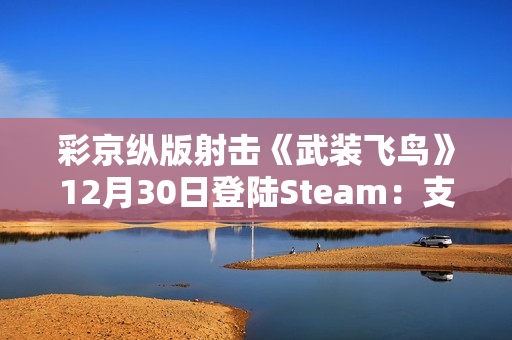 彩京纵版射击《武装飞鸟》12月30日登陆Steam：支持双人游玩，新增在线排行