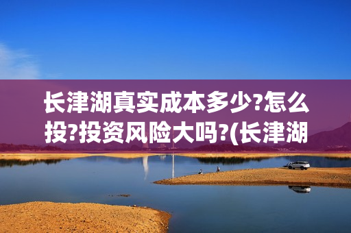 长津湖真实成本多少?怎么投?投资风险大吗?(长津湖盈利吗)