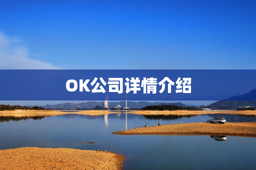 OK公司详情介绍