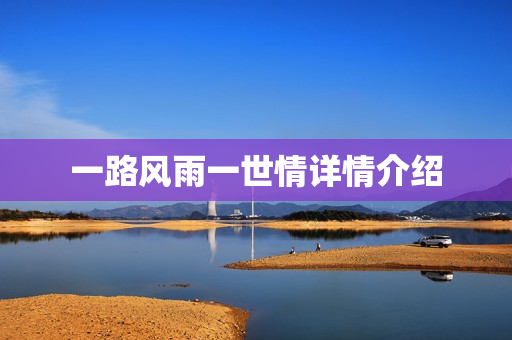 一路风雨一世情详情介绍