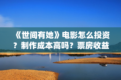 《世间有她》电影怎么投资？制作成本高吗？票房收益有保障吗？(世间有她电影预告)