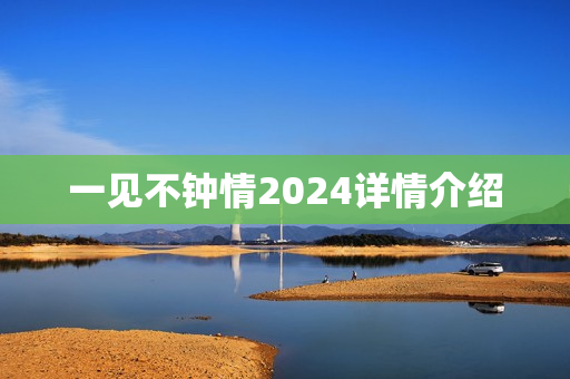 一见不钟情2024详情介绍