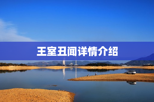 王室丑闻详情介绍