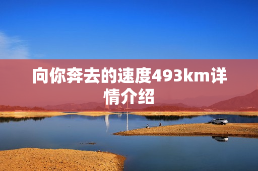 向你奔去的速度493km详情介绍