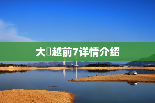 大岡越前7详情介绍