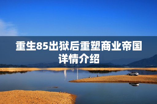 重生85出狱后重塑商业帝国详情介绍 重生85出狱后重塑商业帝国详情介绍