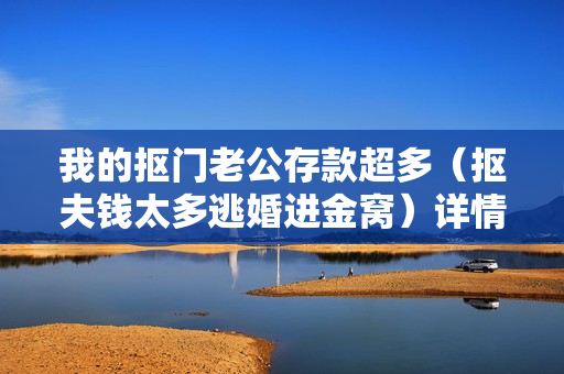 我的抠门老公存款超多（抠夫钱太多逃婚进金窝）详情介绍