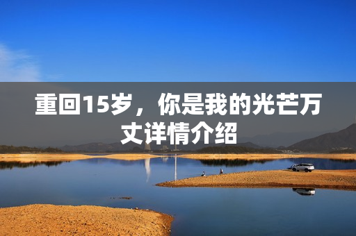 重回15岁,你是我的光芒万丈详情介绍 重回15岁,你是我的光芒万丈详情介绍