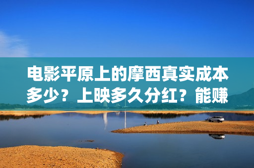 电影平原上的摩西真实成本多少？上映多久分红？能赚钱吗？(《平原上的摩西》迷雾剧场)