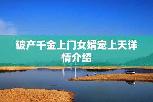 破产千金上门女婿宠上天详情介绍