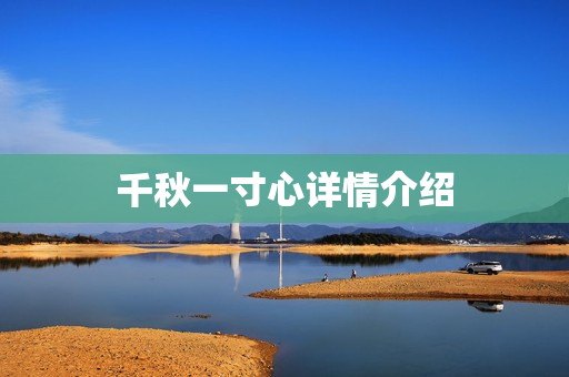 千秋一寸心详情介绍