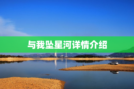 与我坠星河详情介绍