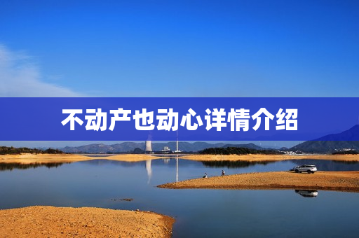不动产也动心详情介绍