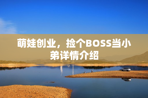 萌娃创业，捡个BOSS当小弟详情介绍