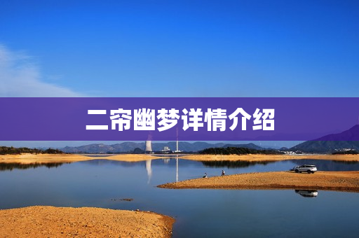 二帘幽梦详情介绍