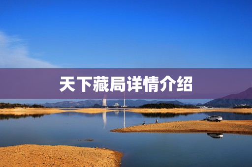 天下藏局详情介绍