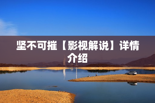 坚不可摧【影视解说】详情介绍