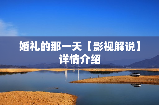 婚礼的那一天【影视解说】详情介绍