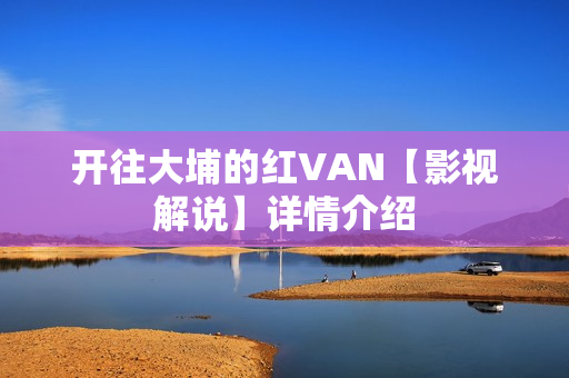 开往大埔的红VAN【影视解说】详情介绍