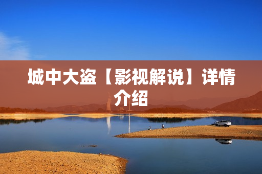 城中大盗【影视解说】详情介绍