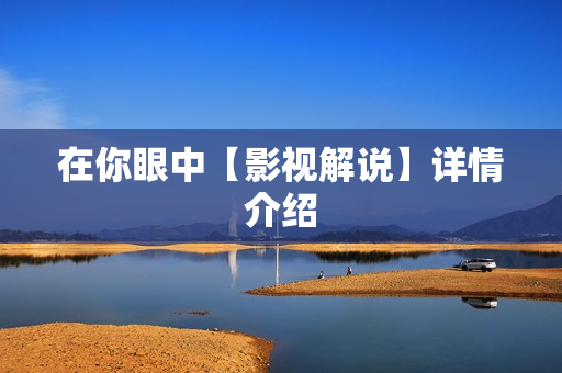 在你眼中【影视解说】详情介绍