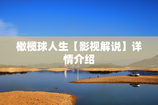 橄榄球人生【影视解说】详情介绍