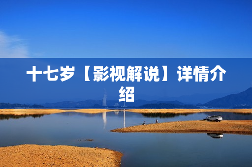 十七岁【影视解说】详情介绍