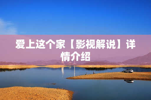 爱上这个家【影视解说】详情介绍