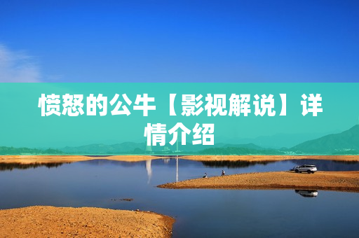 愤怒的公牛【影视解说】详情介绍