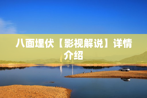 八面埋伏【影视解说】详情介绍