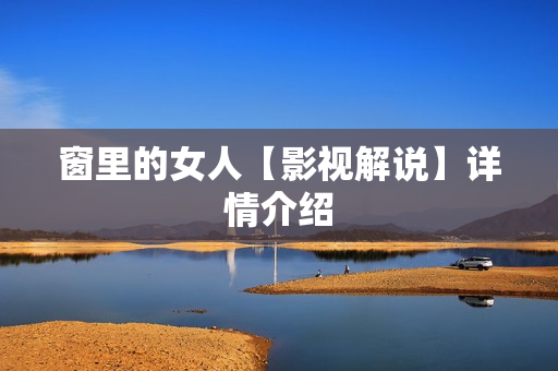 窗里的女人【影视解说】详情介绍