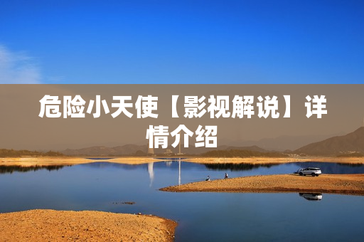 危险小天使【影视解说】详情介绍