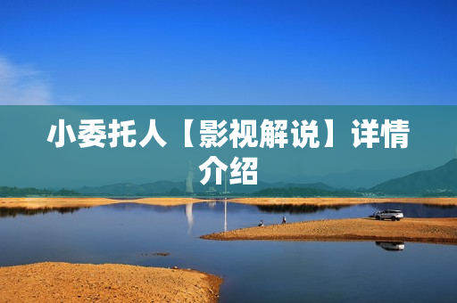 小委托人【影视解说】详情介绍