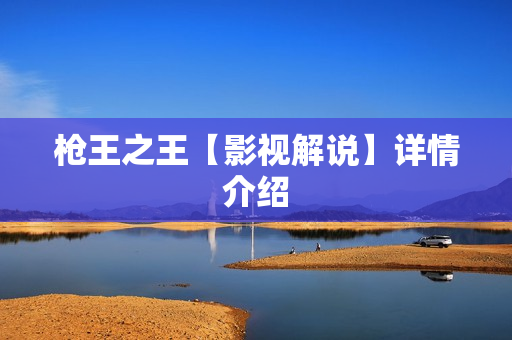 枪王之王【影视解说】详情介绍