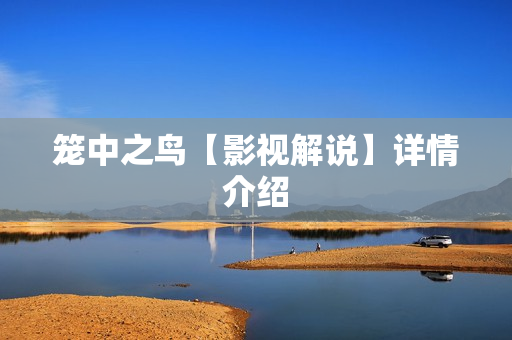 笼中之鸟【影视解说】详情介绍 笼中之鸟【影视解说】详情介绍