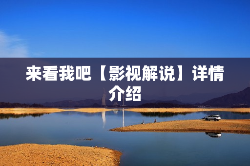 来看我吧【影视解说】详情介绍