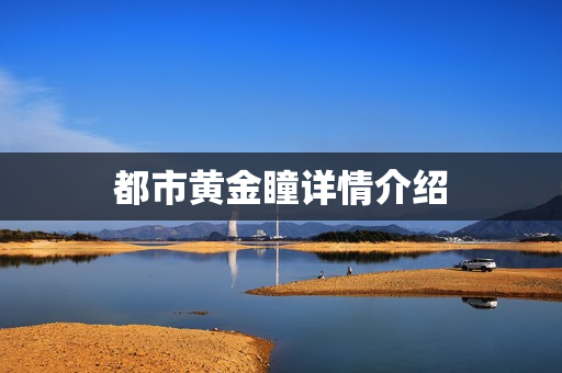 都市黄金瞳详情介绍