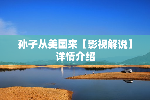 孙子从美国来【影视解说】详情介绍 孙子从美国来【影视解说】详情介绍