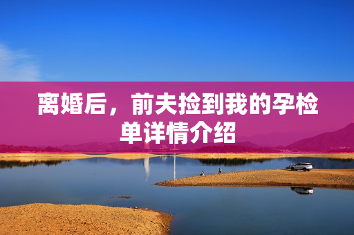 离婚后，前夫捡到我的孕检单详情介绍