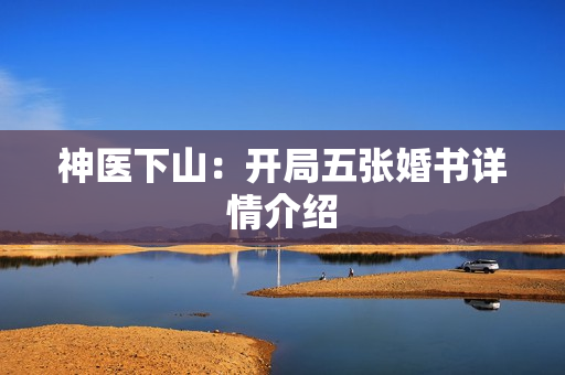 神医下山：开局五张婚书详情介绍