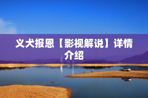 义犬报恩【影视解说】详情介绍