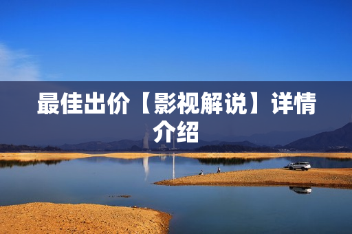 最佳出价【影视解说】详情介绍