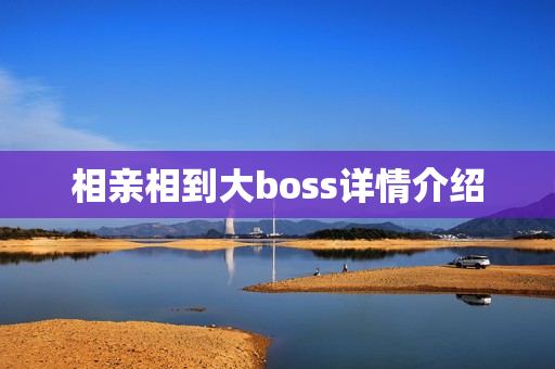 相亲相到大boss详情介绍