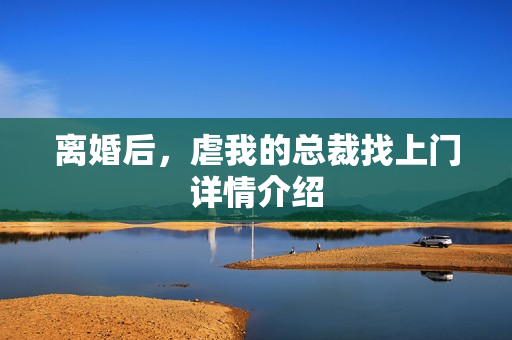 离婚后，虐我的总裁找上门详情介绍