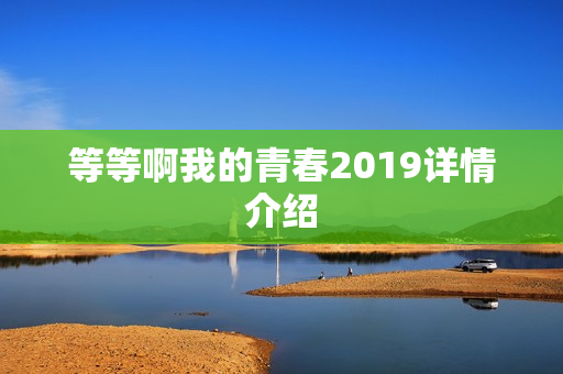 等等啊我的青春2019详情介绍