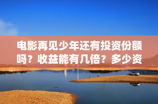 电影再见少年还有投资份额吗？收益能有几倍？多少资金能参与？(电影再见少年还能播放吗)